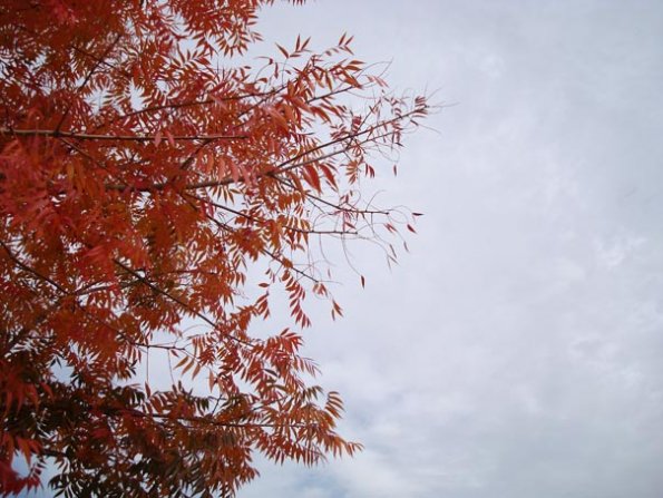 DSC04162