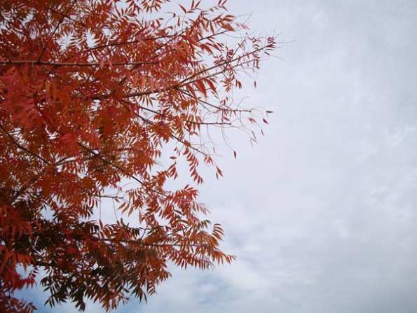 DSC04163