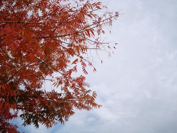 DSC04164
