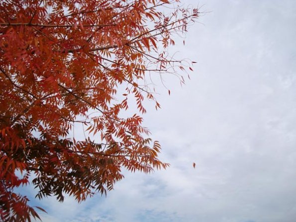 DSC04165