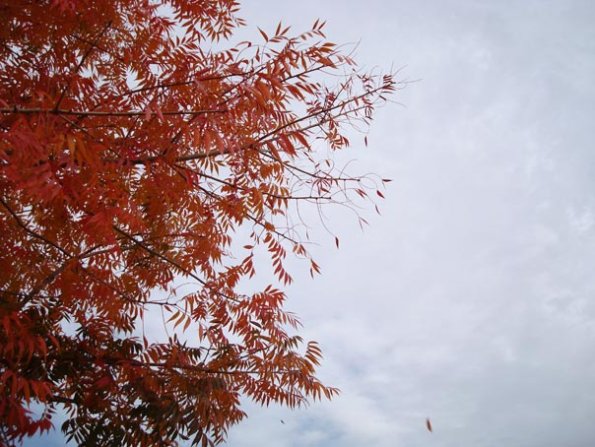 DSC04168