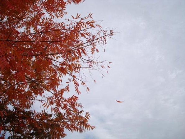 DSC04169