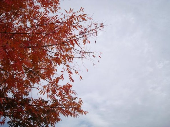 DSC04170
