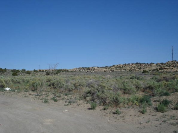 DSC08716