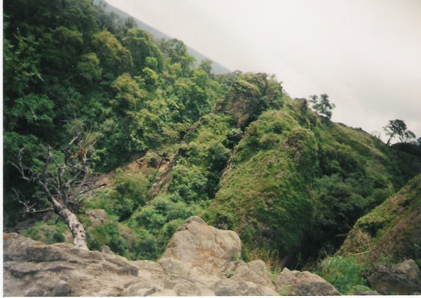 scan0028