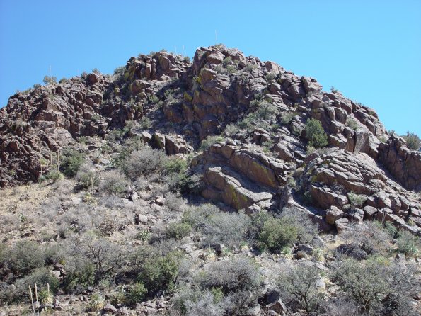 DSC00601