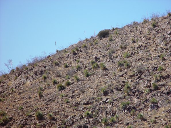 DSC00639