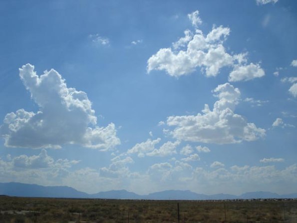 DSC03149