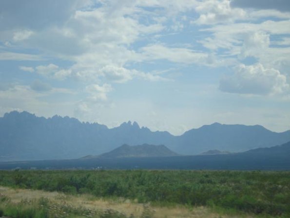 DSC03207