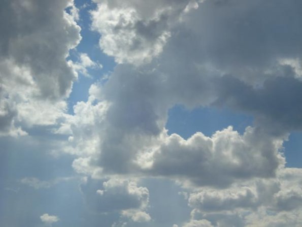 DSC03230
