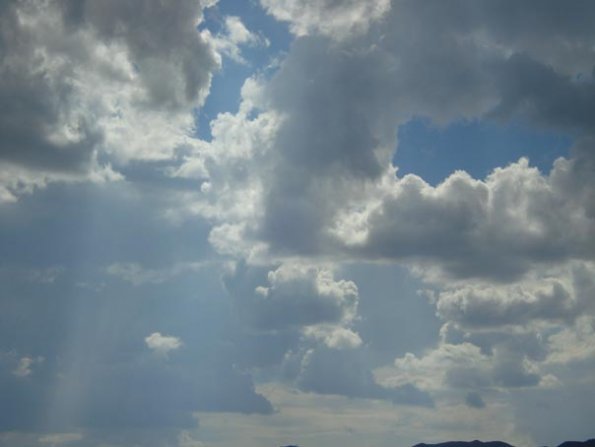 DSC03231