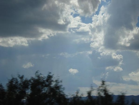 DSC03239