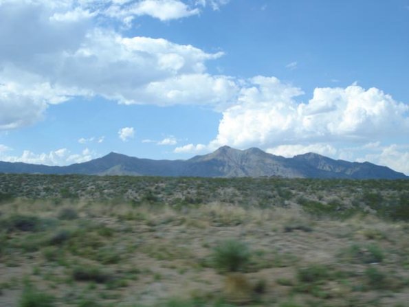 DSC03281