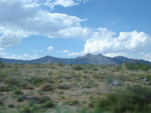 DSC03282