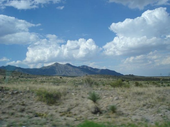 DSC03294