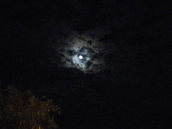 DSC03316