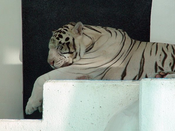DSC02307
