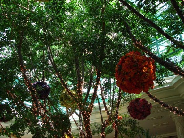 DSC04838