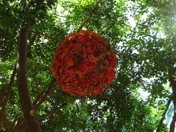 DSC04849