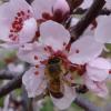 DSC07010