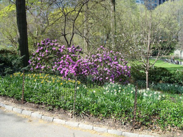 DSC02407