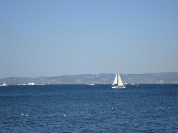 DSC00993a