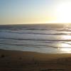 DSC01015a