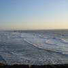 DSC01020a