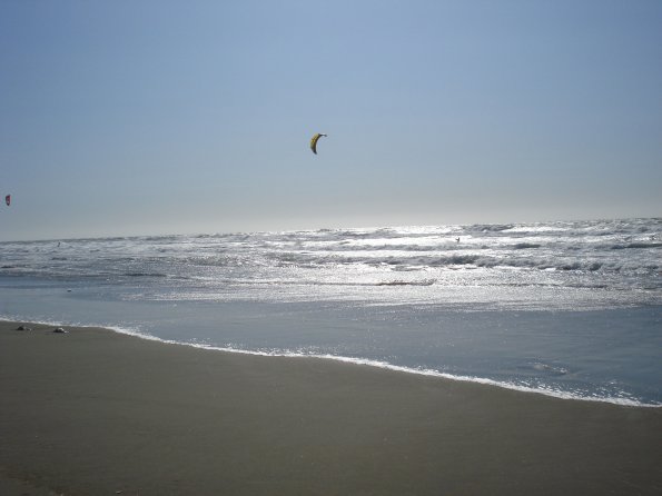 DSC01174a