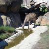 DSC01208a